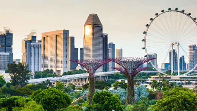 Singapore Travel Guide