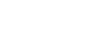 Premier League logo: white stylized lion head with spiky mane beside “Premier League” text