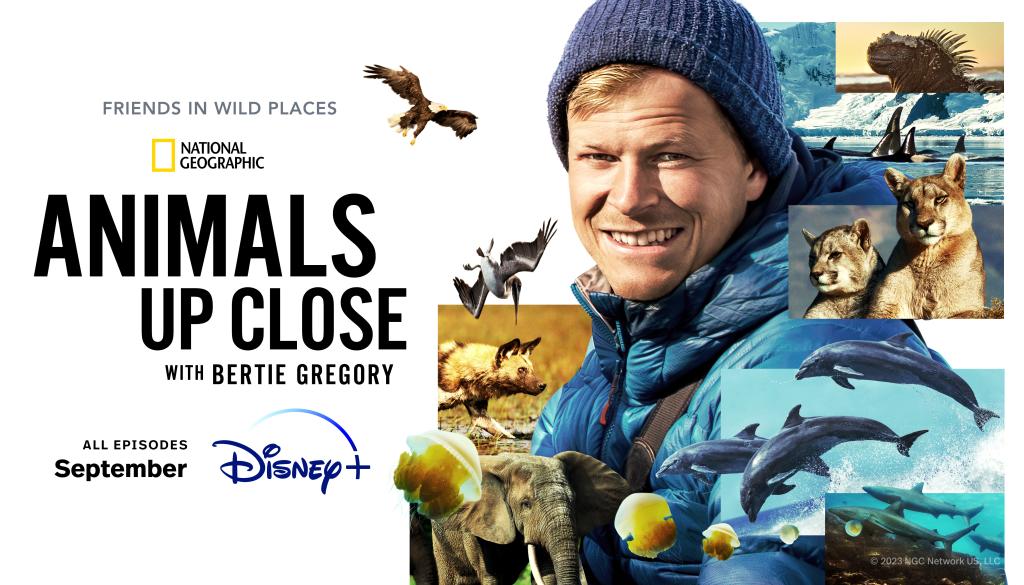 Animals Up Close - Disney+ Poster