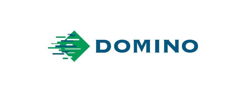 Domino Logo