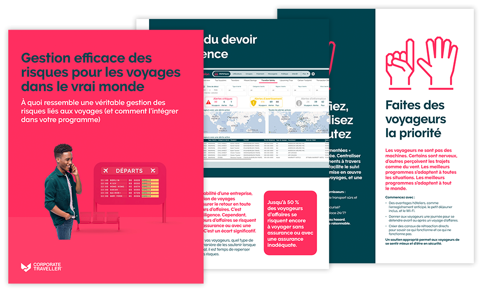 Guide Gestion efficaces des riques