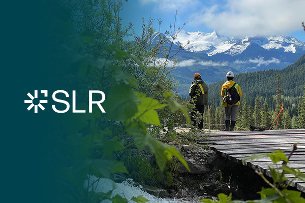 SLR consulting hero image