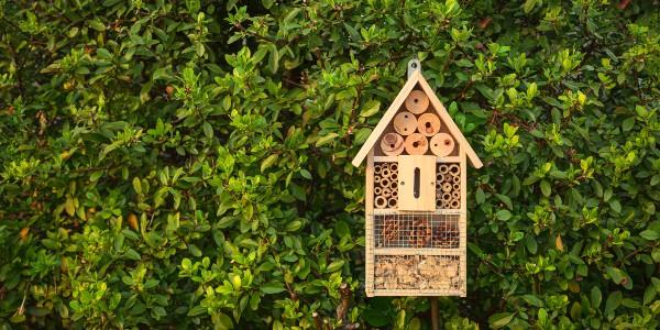 Insect hotel in a green hedge gives protection and a nesting aid to bees and other insects.