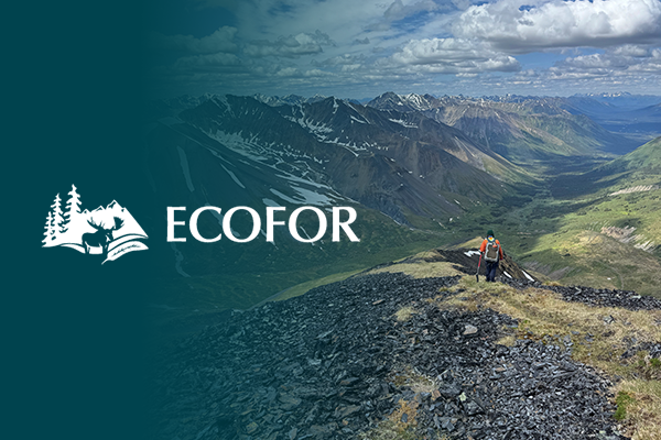 Ecofor hero image