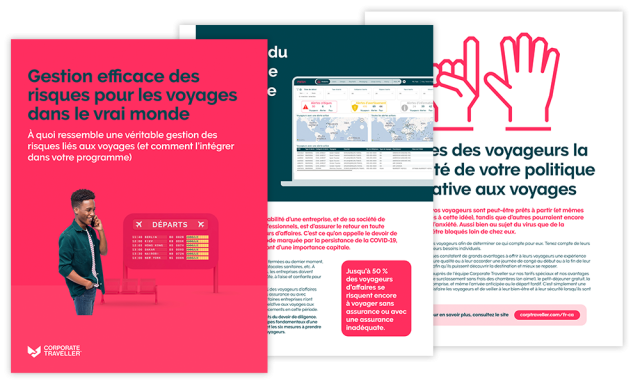 gestion des risques efficaces livre blanc