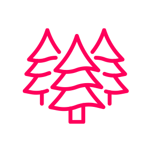 Three pink stylized pine trees on black background